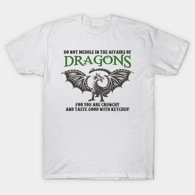 Do Not Meddle In The Affairs Of Dragons T-Shirt by Fauzi ini senggol dong